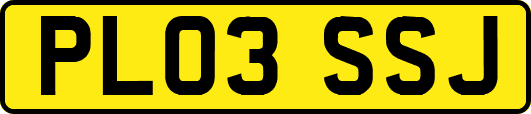 PL03SSJ