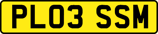 PL03SSM