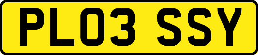 PL03SSY