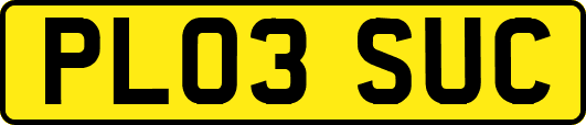 PL03SUC