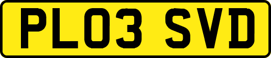 PL03SVD
