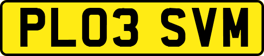 PL03SVM