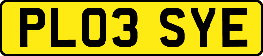 PL03SYE