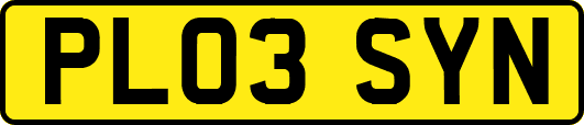 PL03SYN