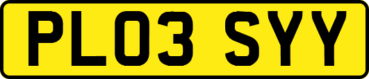 PL03SYY