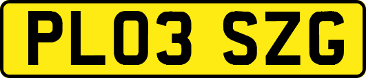 PL03SZG