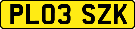 PL03SZK