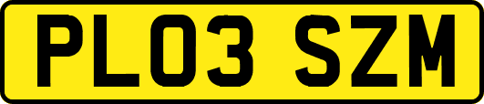 PL03SZM
