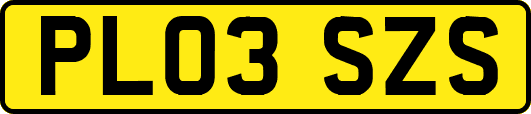 PL03SZS