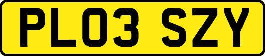 PL03SZY