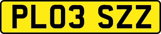 PL03SZZ