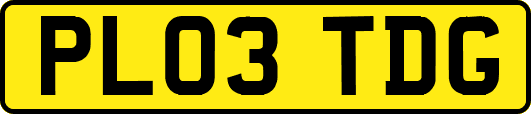 PL03TDG