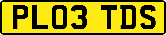 PL03TDS