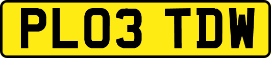 PL03TDW
