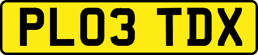 PL03TDX