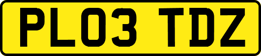 PL03TDZ