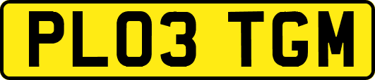 PL03TGM