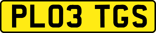 PL03TGS