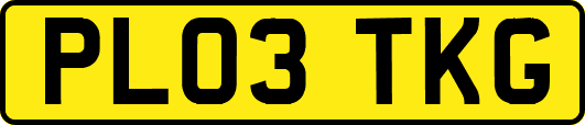 PL03TKG