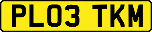 PL03TKM