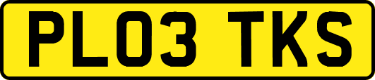 PL03TKS