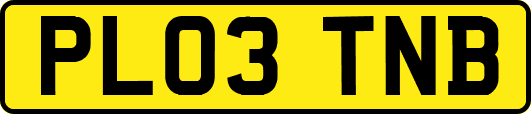 PL03TNB