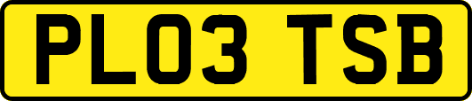 PL03TSB