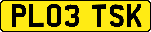 PL03TSK