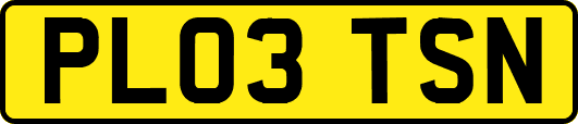 PL03TSN