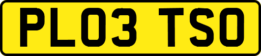 PL03TSO