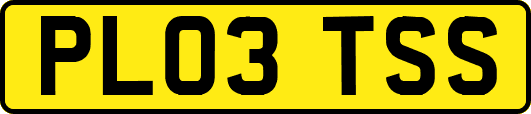 PL03TSS