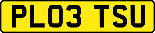 PL03TSU