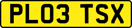 PL03TSX