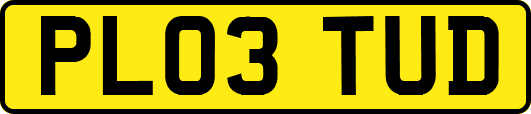 PL03TUD