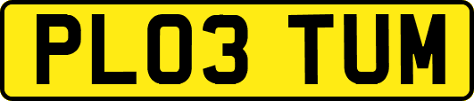 PL03TUM
