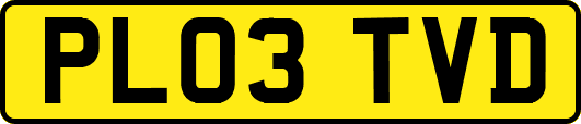 PL03TVD