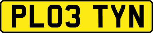 PL03TYN