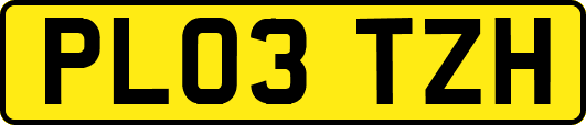 PL03TZH