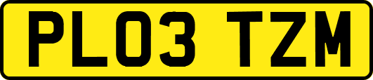 PL03TZM