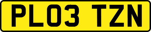 PL03TZN