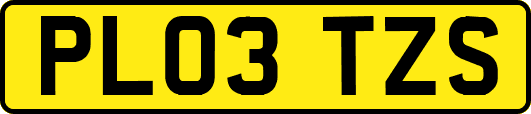 PL03TZS