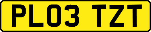 PL03TZT