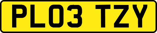 PL03TZY
