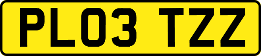 PL03TZZ