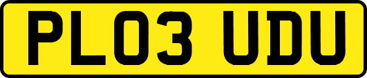 PL03UDU
