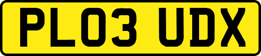 PL03UDX