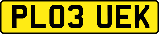 PL03UEK