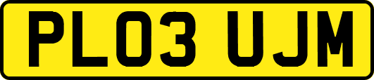 PL03UJM