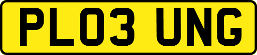 PL03UNG