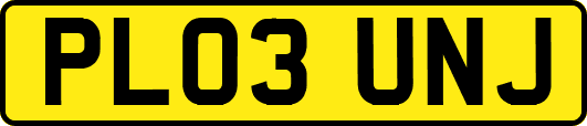 PL03UNJ